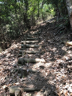 広島県安芸郡府中町　揚倉山