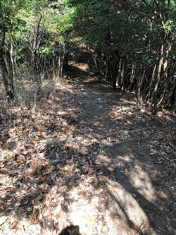 広島県安芸郡府中町　揚倉山