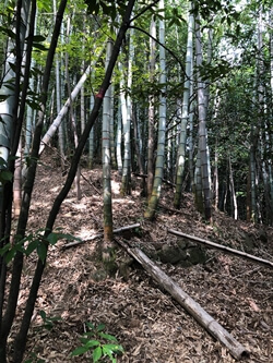 広島県　呉市　茶臼山
