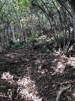 広島県　呉市　茶臼山