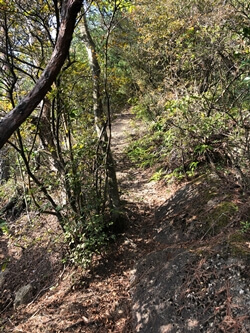 広島県　呉市　茶臼山