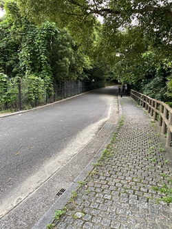 広島県　広島市　江波山