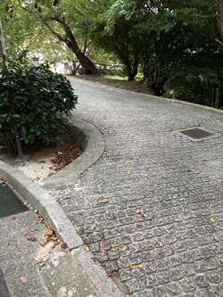 広島県　広島市　江波山