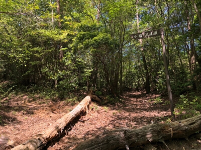 広島県広島市にある絵下山