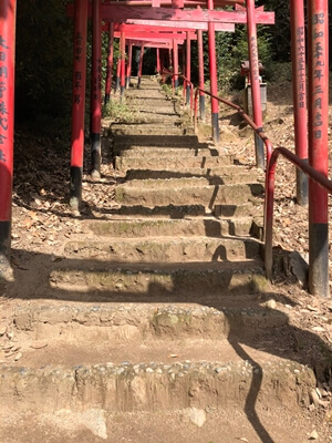広島県　広島市　双葉山