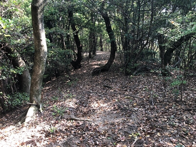 広島県呉市　八畳岩