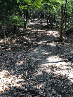 広島県呉市　八畳岩
