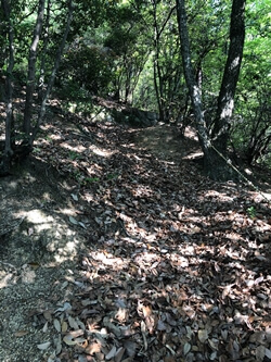 広島県呉市　八畳岩