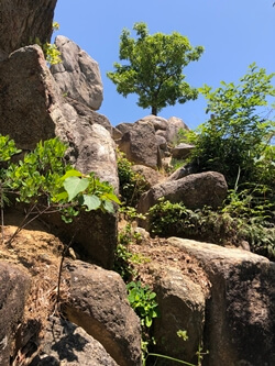 広島県海田町にある日浦山