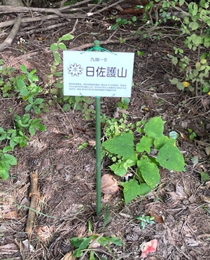 広島県　呉市　日佐護山