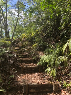 広島県大竹市にある三倉岳