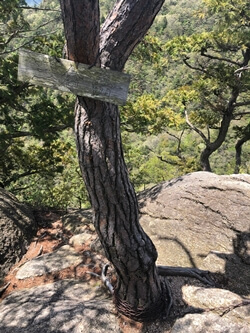 広島県大竹市にある三倉岳