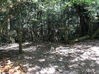 広島県大竹市にある三倉岳