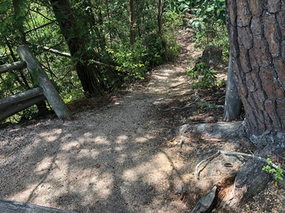 広島県大竹市にある三倉岳