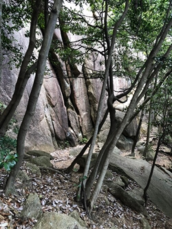 広島県大竹市にある三倉岳