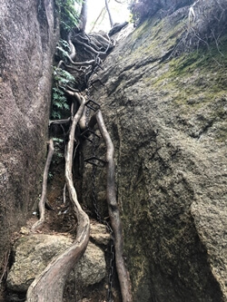 広島県大竹市にある三倉岳