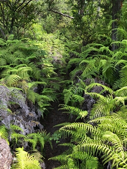 広島県熊野町にある三石山