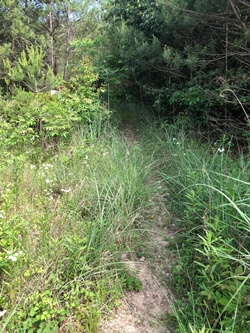 広島県熊野町にある三石山