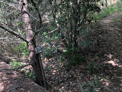 広島県熊野町にある三石山