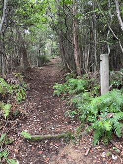 広島県　呉市　三津峰山