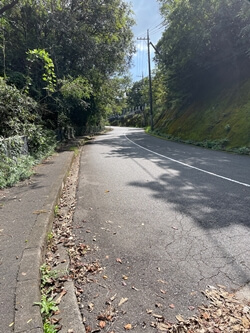 広島県　呉市　三津峰山