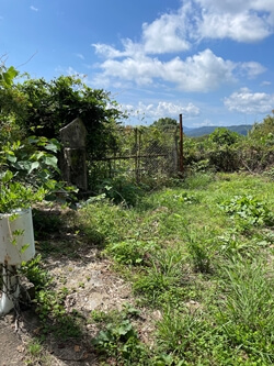 広島県　呉市　三津峰山