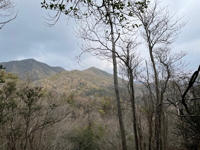 広島県呉市にある宮ヶ迫山