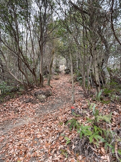広島県呉市にある宮ヶ迫山