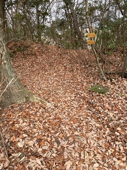 広島県呉市にある宮ヶ迫山