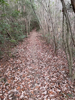 広島県呉市にある宮ヶ迫山