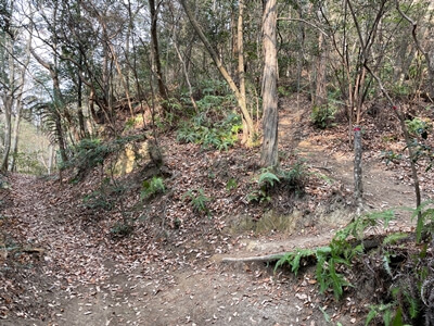 広島県呉市にある宮ヶ迫山