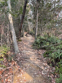 広島県呉市にある宮ヶ迫山