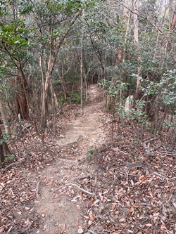 広島県呉市にある宮ヶ迫山