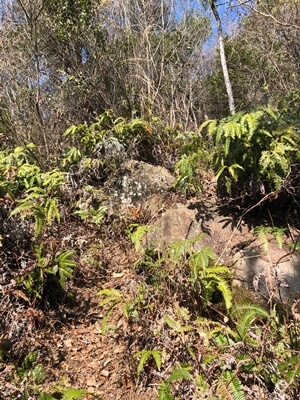 広島県　呉市　物見山