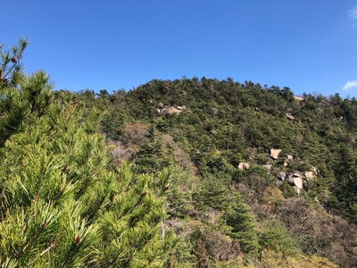 広島県　呉市　物見山