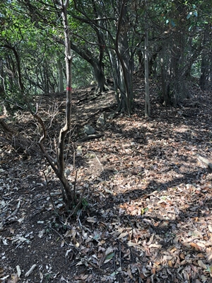 広島県　呉市　物見山