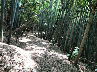 広島県坂町にある森山