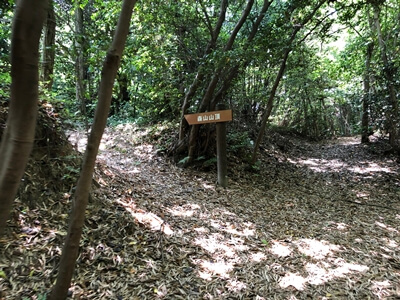 広島県坂町にある森山