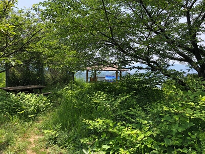 広島県坂町にある森山