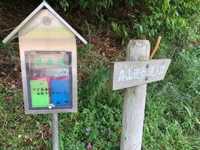 広島県坂町にある森山