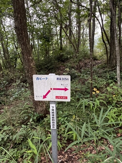 広島県　東広島市　二神山