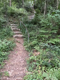 広島県　東広島市　二神山