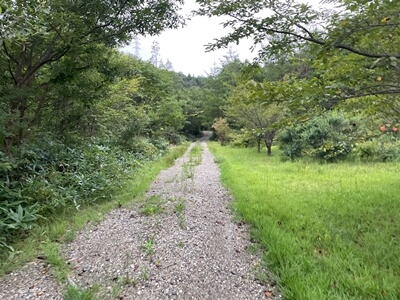 広島県　東広島市　二神山