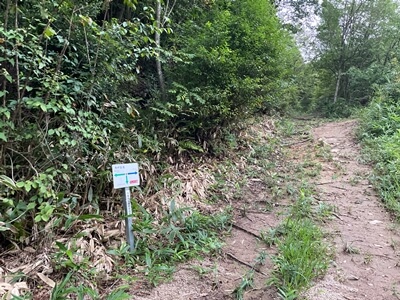 広島県　東広島市　二神山