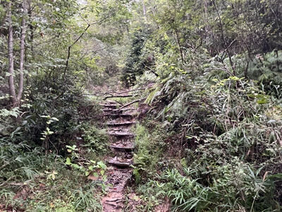 広島県　東広島市　二神山