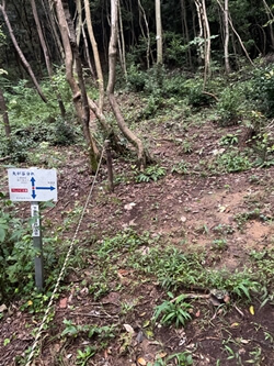 広島県　東広島市　二神山