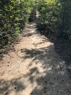 広島県　呉市　大庭山