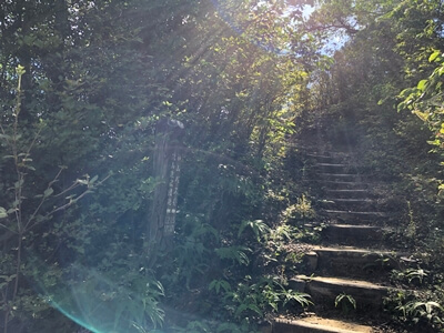 広島県　呉市　大庭山