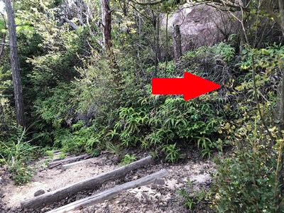 広島県　呉市　大庭山