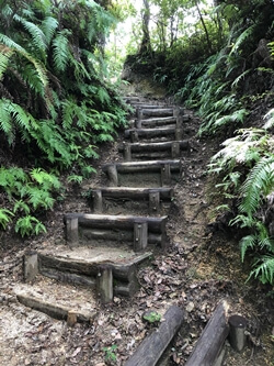 広島県　呉市　大庭山